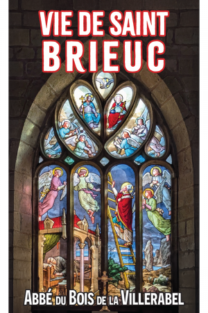 Vie de saint Brieuc